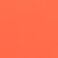 Bright Acorn