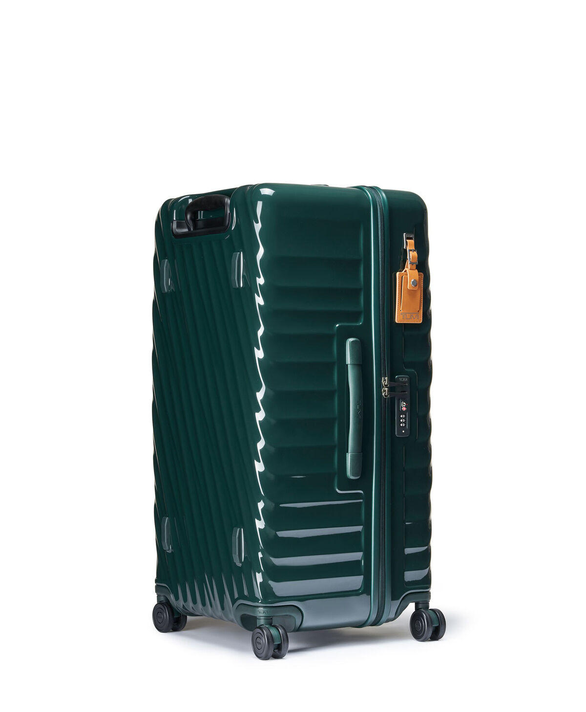 19 Degree Trunk - large